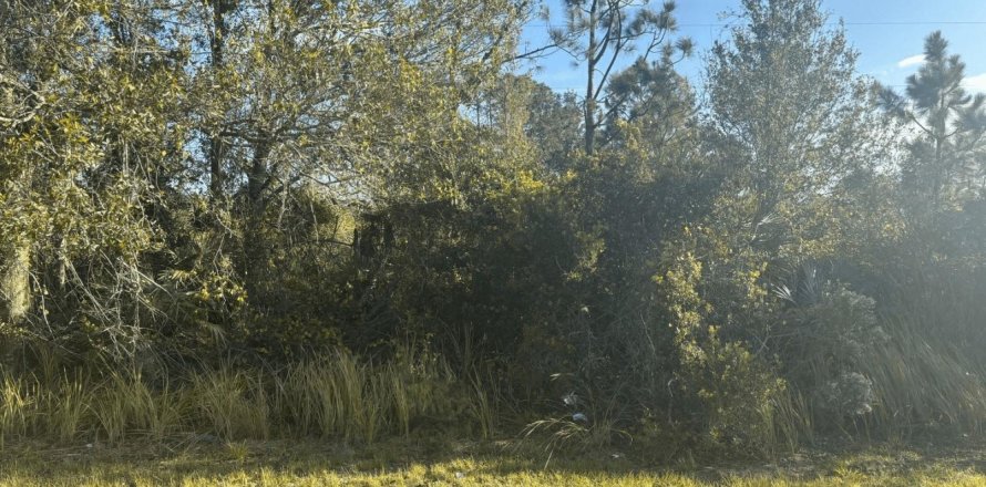 Immobilier commercial à Okeechobee, Floride № 2392548