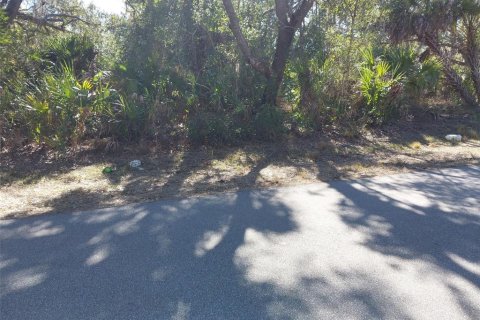 Land in Port Charlotte, Florida № 2118772