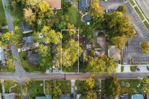 Land in Jacksonville, Florida № 832182 - photo 1