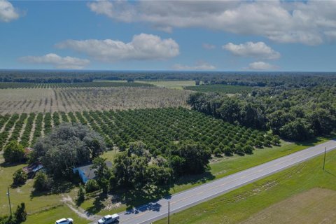 Land in De Leon Springs, Florida № 2380601 - photo 2