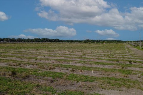 Land in De Leon Springs, Florida № 2380601 - photo 21