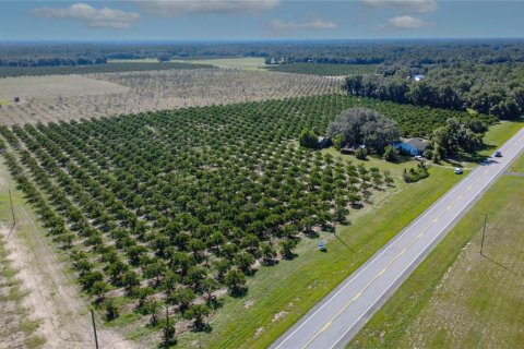 Land in De Leon Springs, Florida № 2380601 - photo 12