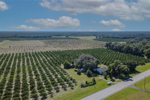 Land in De Leon Springs, Florida № 2380601 - photo 4