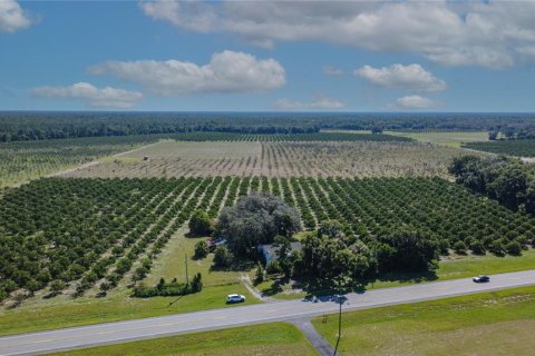 Land in De Leon Springs, Florida № 2380601 - photo 6