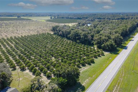 Land in De Leon Springs, Florida № 2380601 - photo 8