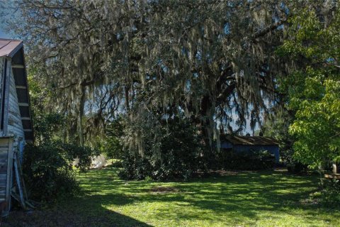 Land in De Leon Springs, Florida № 2380601 - photo 19