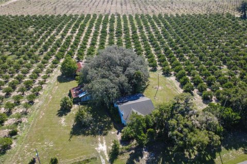 Land in De Leon Springs, Florida № 2380601 - photo 7
