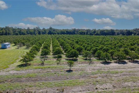 Land in De Leon Springs, Florida № 2380601 - photo 16