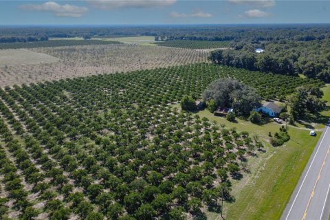 Land in De Leon Springs, Florida № 2380601 - photo 11