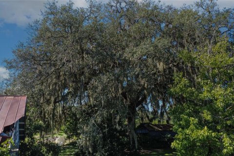 Land in De Leon Springs, Florida № 2380601 - photo 20