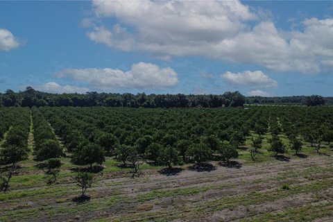 Land in De Leon Springs, Florida № 2380601 - photo 15