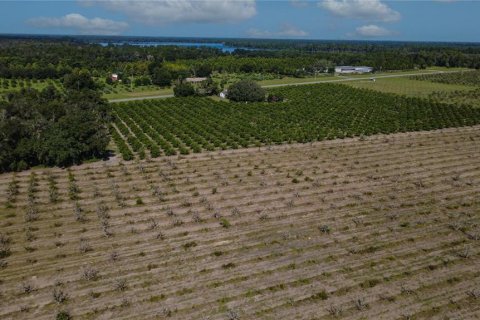 Land in De Leon Springs, Florida № 2380601 - photo 18
