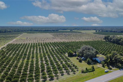 Land in De Leon Springs, Florida № 2380601 - photo 5