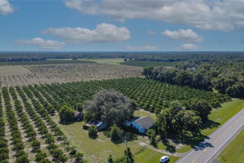 Land in De Leon Springs, Florida № 2380601 - photo 3