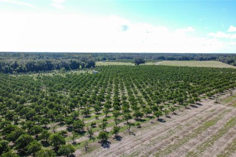 Land in De Leon Springs, Florida № 2380601 - photo 17