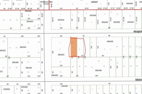 Land in Interlachen, Florida № 2228601