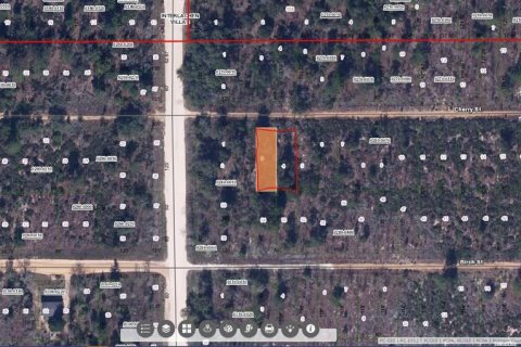 Land in Interlachen, Florida № 2228601 - photo 2