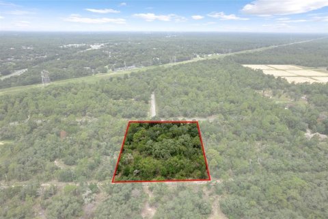Land in Beverly Hills, Florida № 1833435 - photo 11