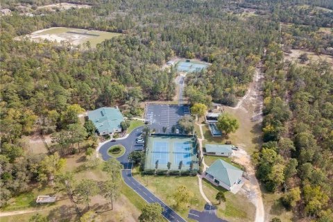 Land in Beverly Hills, Florida № 1833435 - photo 27
