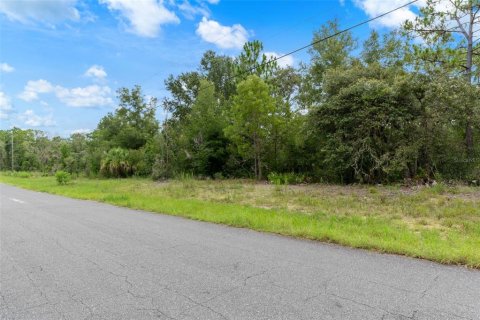 Land in Beverly Hills, Florida № 1833435 - photo 9