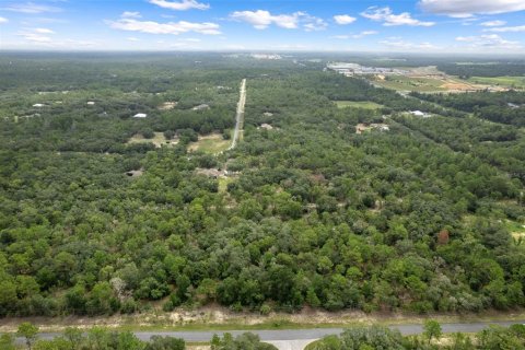 Land in Beverly Hills, Florida № 1833435 - photo 4