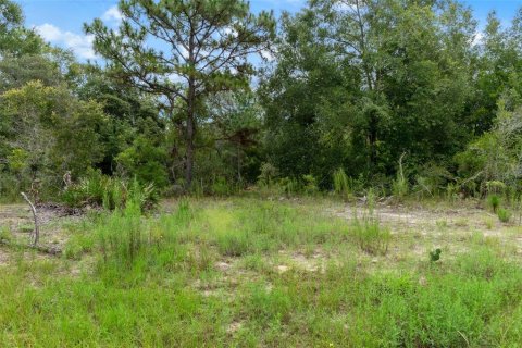 Land in Beverly Hills, Florida № 1833435 - photo 21