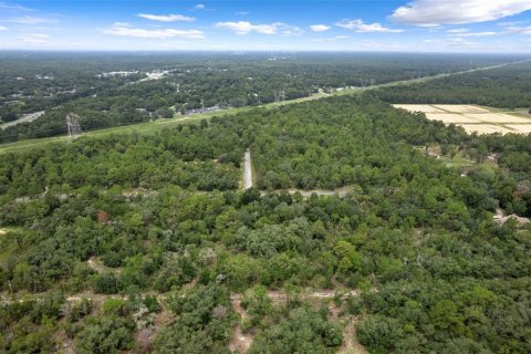 Land in Beverly Hills, Florida № 1833435 - photo 12