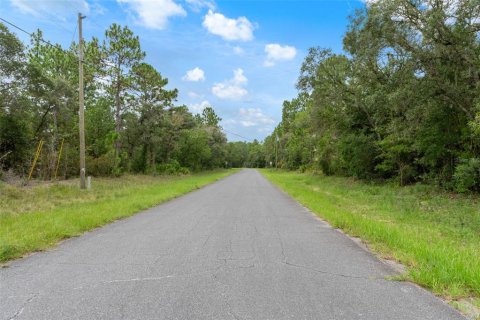 Land in Beverly Hills, Florida № 1833435 - photo 5