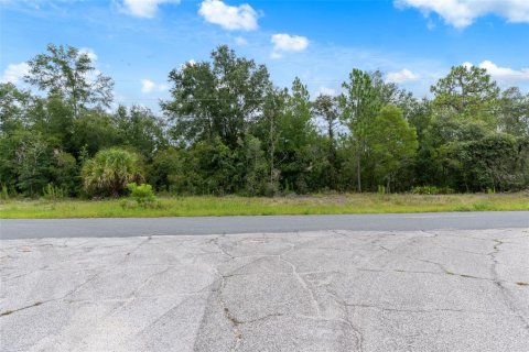 Land in Beverly Hills, Florida № 1833435 - photo 1