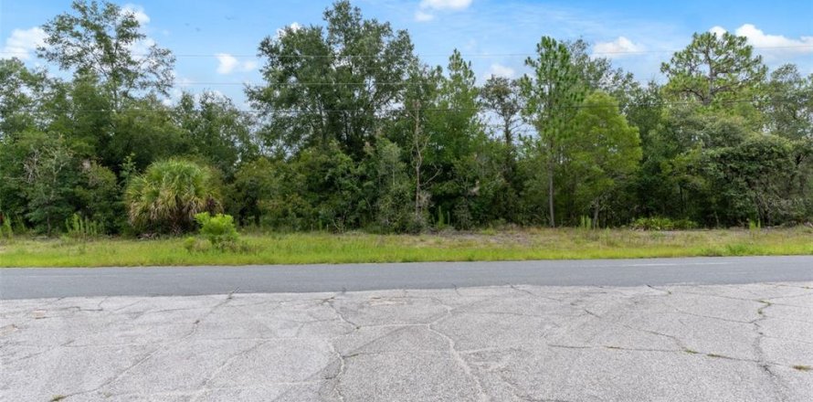 Land in Beverly Hills, Florida № 1833435
