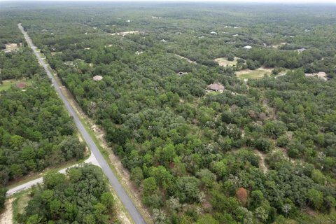 Land in Beverly Hills, Florida № 1833435 - photo 16