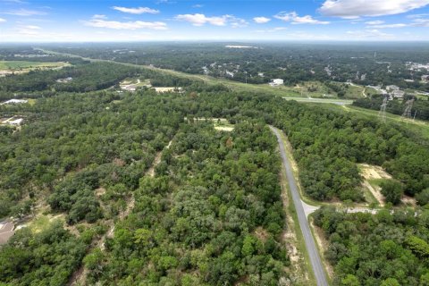 Land in Beverly Hills, Florida № 1833435 - photo 8