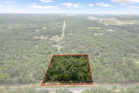 Land in Beverly Hills, Florida № 1833435 - photo 3