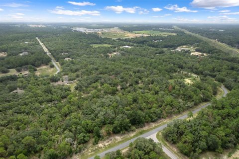 Land in Beverly Hills, Florida № 1833435 - photo 6