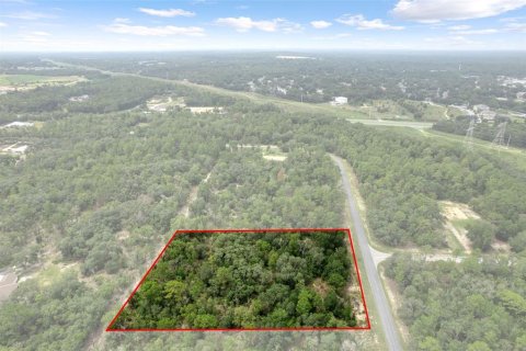 Land in Beverly Hills, Florida № 1833435 - photo 7