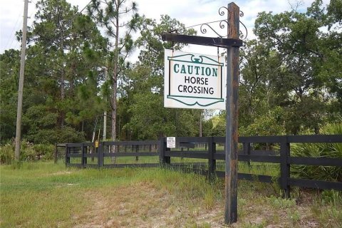 Land in Beverly Hills, Florida № 1833435 - photo 23