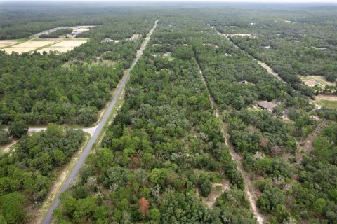 Land in Beverly Hills, Florida № 1833435 - photo 15