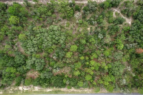 Land in Beverly Hills, Florida № 1833435 - photo 19