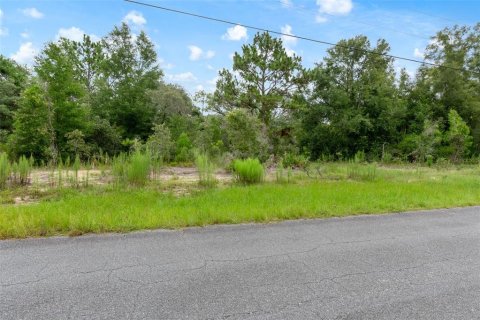 Land in Beverly Hills, Florida № 1833435 - photo 20