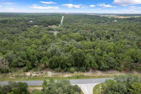 Land in Beverly Hills, Florida № 1833435 - photo 22