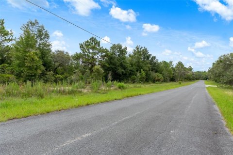 Land in Beverly Hills, Florida № 1833435 - photo 17
