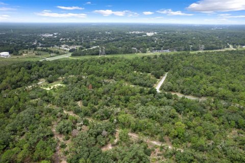 Land in Beverly Hills, Florida № 1833435 - photo 10