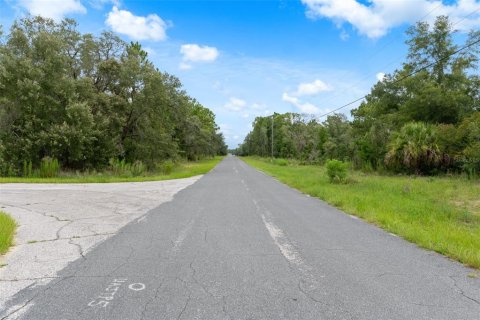 Land in Beverly Hills, Florida № 1833435 - photo 14