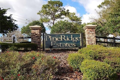 Land in Beverly Hills, Florida № 1833435 - photo 2