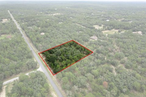 Land in Beverly Hills, Florida № 1833435 - photo 18