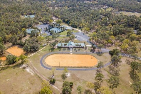 Land in Beverly Hills, Florida № 1833435 - photo 29