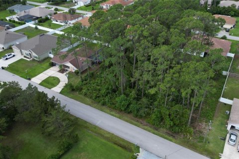 Terreno en venta en Palm Coast, Florida № 1687886 - foto 1