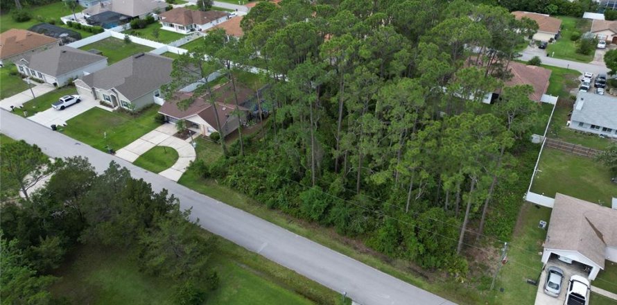 Terreno en Palm Coast, Florida № 1687886