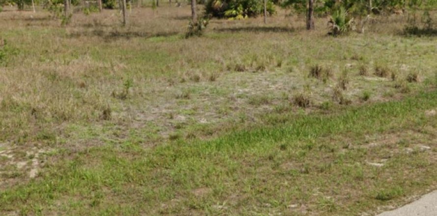 Land in Lehigh Acres, Florida № 1051323