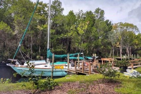 Villa ou maison à vendre à Yankeetown, Floride: 2 chambres, 135.82 m2 № 1916052 - photo 3